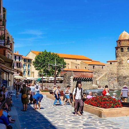 Petit Nid Catalan , 10 Minutes Des Plages Perpignan Dış mekan fotoğraf
